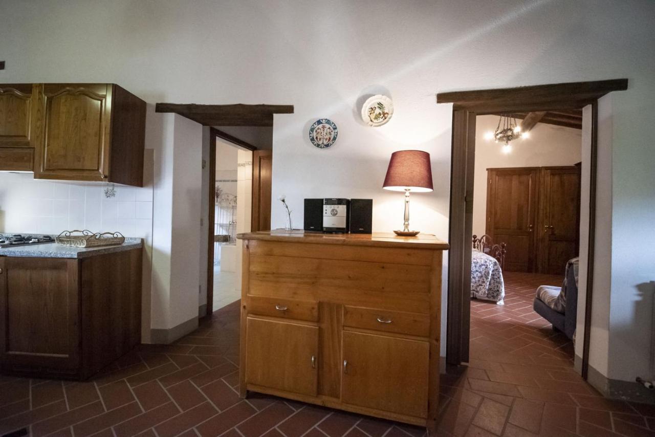 Casa Selvolini - Volpaia Apartment Radda in Chianti Ngoại thất bức ảnh